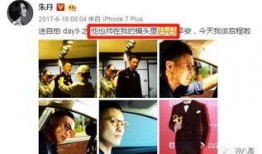 晓乐八卦爆料视频大全集,揭秘娱乐圈幕后故事，视频大全集深度解析