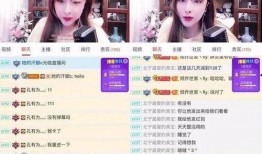 潮州女主播被爆料视频,揭秘网络直播背后的争议与真相