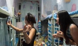 吃瓜群免费看女生学校,吃瓜群狂欢揭秘