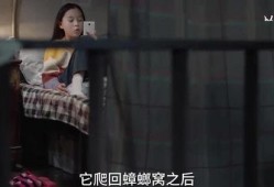 爆料小孩姐姐视频播放网站,小孩姐姐热门视频播放背后的秘密