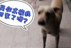 每天看娱乐吃瓜的说说,跟随热点，畅享娱乐圈风云变幻