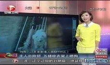 超级新闻场在线观看,实时热点，一键掌握