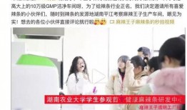 麻辣王子爆料视频,独家爆料视频背后的故事