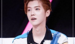 娱乐吃瓜君鹿晗,娱乐吃瓜界的风云人物