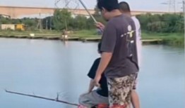 大杨哥被爆料钓鱼视频在线观看,揭秘网络红人幕后生活