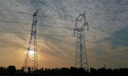 鲁山爆料最新消息视频,最新视频揭露惊人内幕