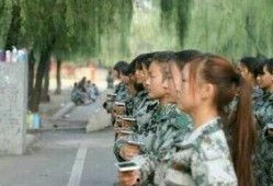 教官所有爆料视频大全,揭秘军营生活与训练真相