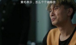 在线观看黄毛,揭秘在线观看黄毛的伦理争议