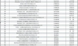 西安爆料企业名单最新,企业名单曝光，行业动态再掀波澜