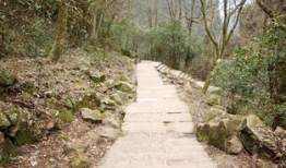 土家小木最新爆料,揭秘娱乐圈最新动态