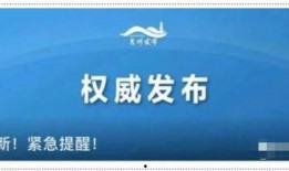揭阳最新爆料消息公布时间,重大消息公布时间揭晓，详情即将揭晓！”