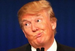 特朗普娱乐圈爆料视频,揭秘名人私生活与政治幕后