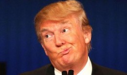 特朗普娱乐圈爆料视频,揭秘名人私生活与政治幕后