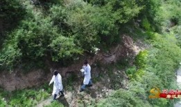 新沂莫干山爆料事件视频,揭秘背后惊人真相