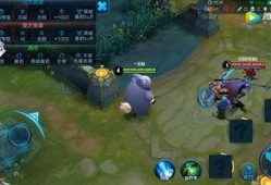 王者荣耀胖子爆料视频,胖子爆料揭秘游戏幕后秘密与精彩瞬间