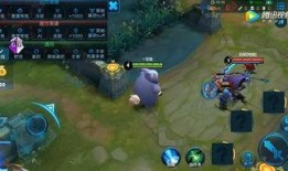 王者荣耀胖子爆料视频,胖子爆料揭秘游戏幕后秘密与精彩瞬间