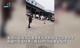 湖北荆门爆料新闻视频,网友热议！