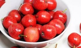 山楂加工爆料方法视频大全,全方位视频教程大盘点