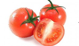 番茄免费小说吃瓜系统豪门,吃瓜系统带我逆袭