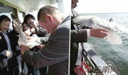 大理游客爆料最新消息新闻