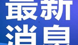 武汉法斗最新爆料,揭秘背后惊人真相