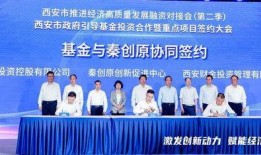 西安基金最新爆料新闻,揭秘项目进展与市场动态